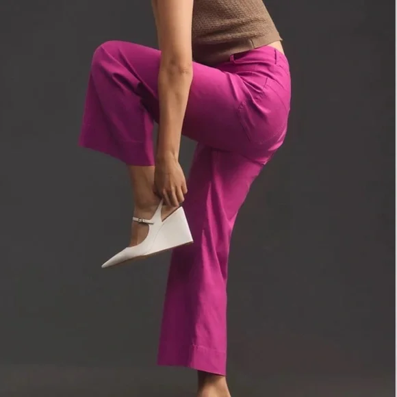 *Anthropologie The Colette Magic Fabric Crop Wide Leg Pants - Picture 3 of 7